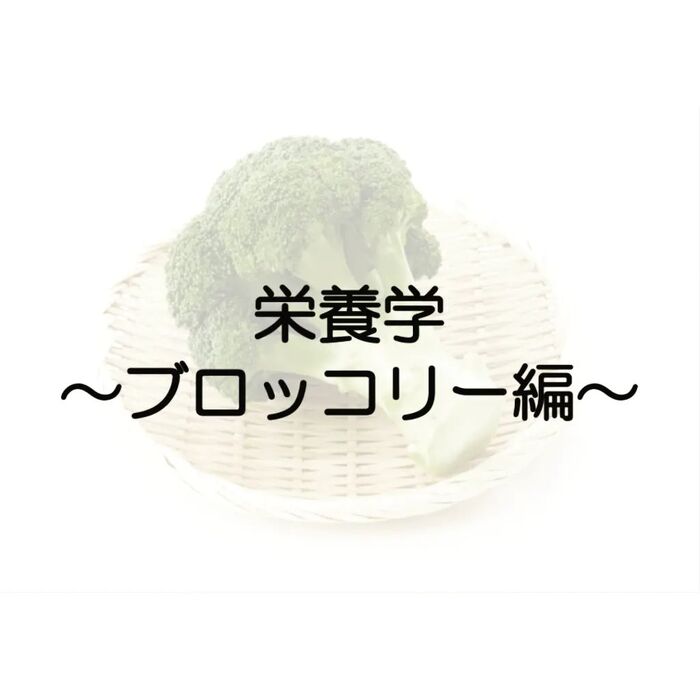 画像1475
