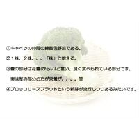 画像1477