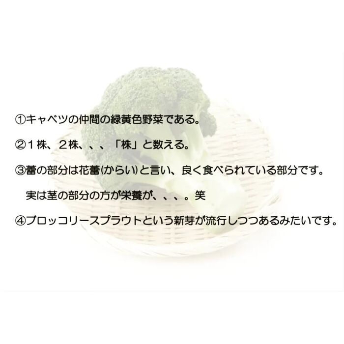 画像1477