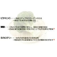 画像1478