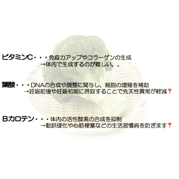 画像1478