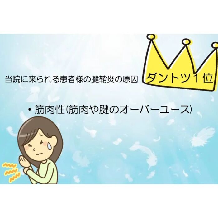 画像1490