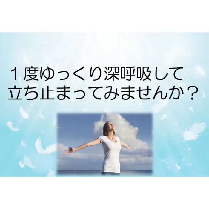 画像1511