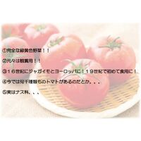画像1516