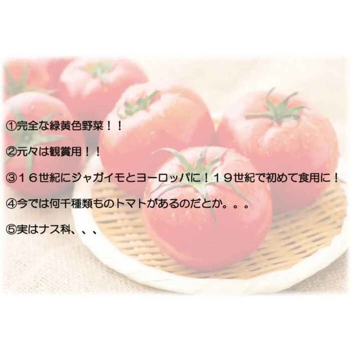 画像1516
