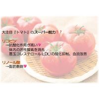 画像1517