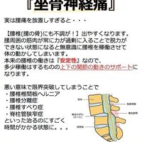 画像1818