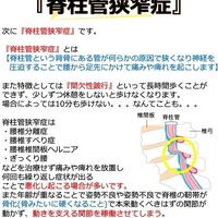 画像1946