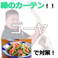 画像2010