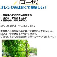 画像2012