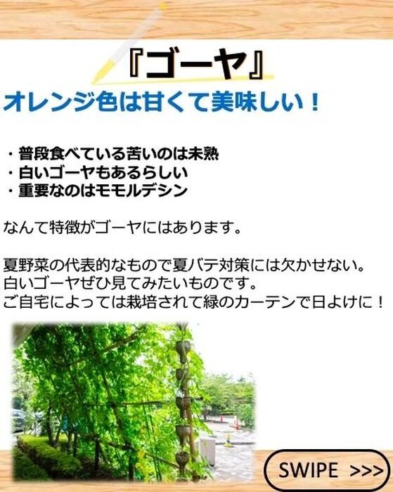 画像2012