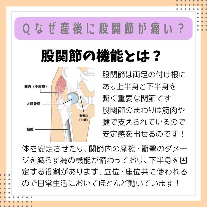 画像2236
