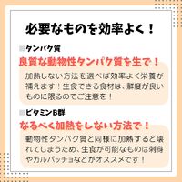 画像2259