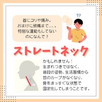 画像2264