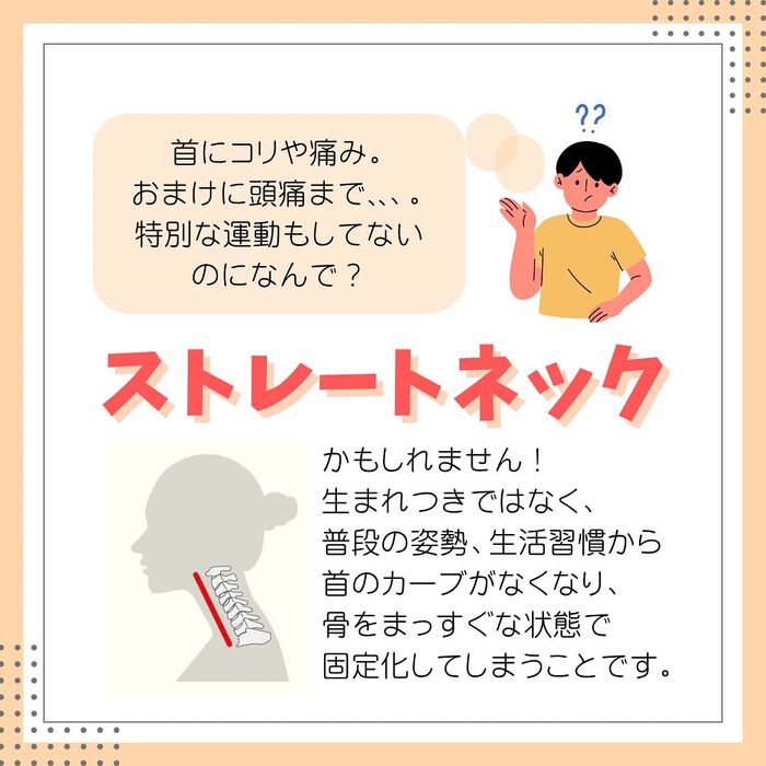 画像2264