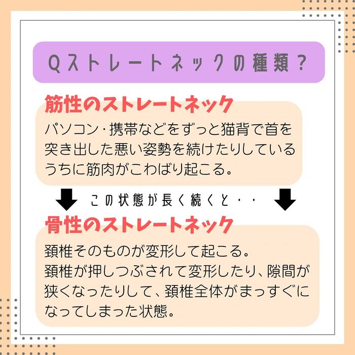 画像2265