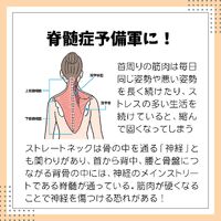 画像2266