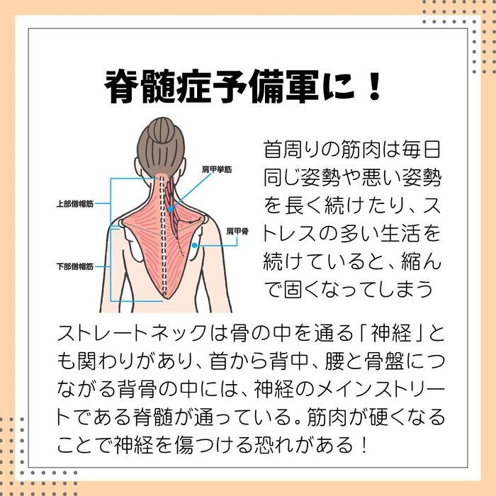 画像2266