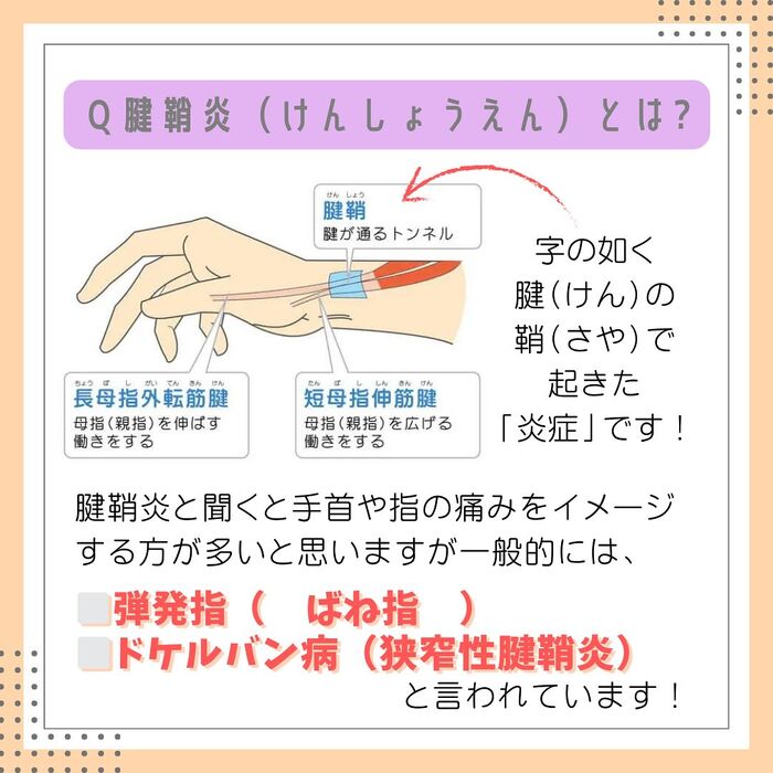 画像2279