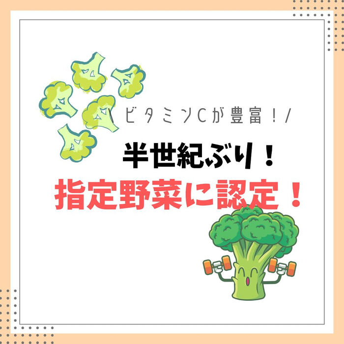 画像2314