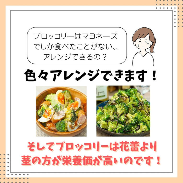 画像2317