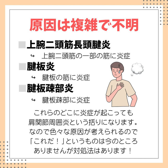 画像2323